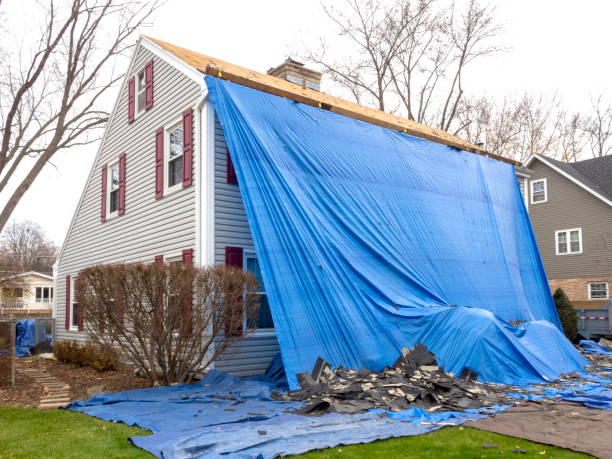 Best Hoarding Cleanup  in Carbondale, IL